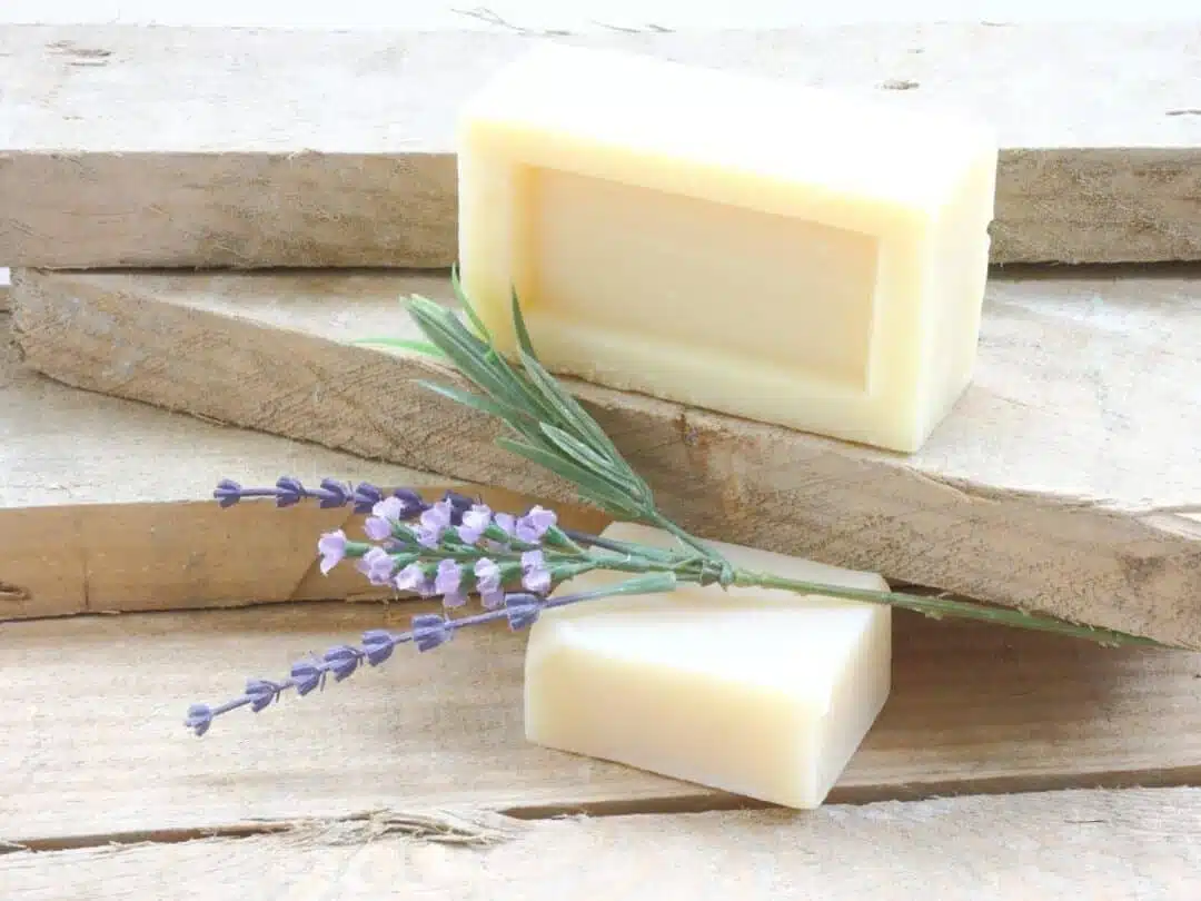 13 Laundry Detergent Alternatives (That Actually Works) Organizing.TV