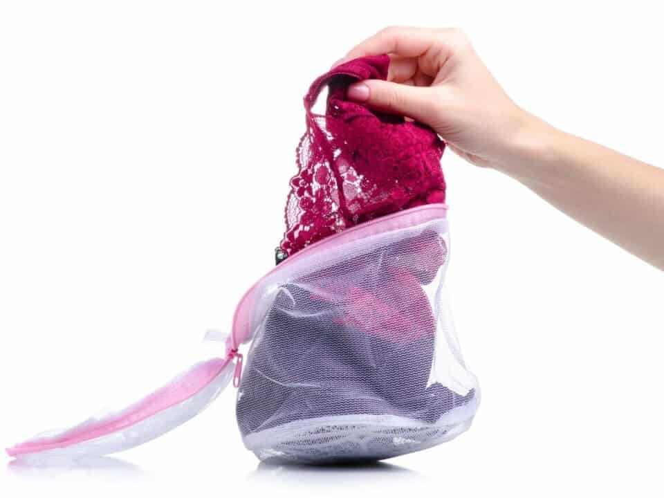 How to Use a Delicates Bag (And how to pick a good one) Organizing.TV