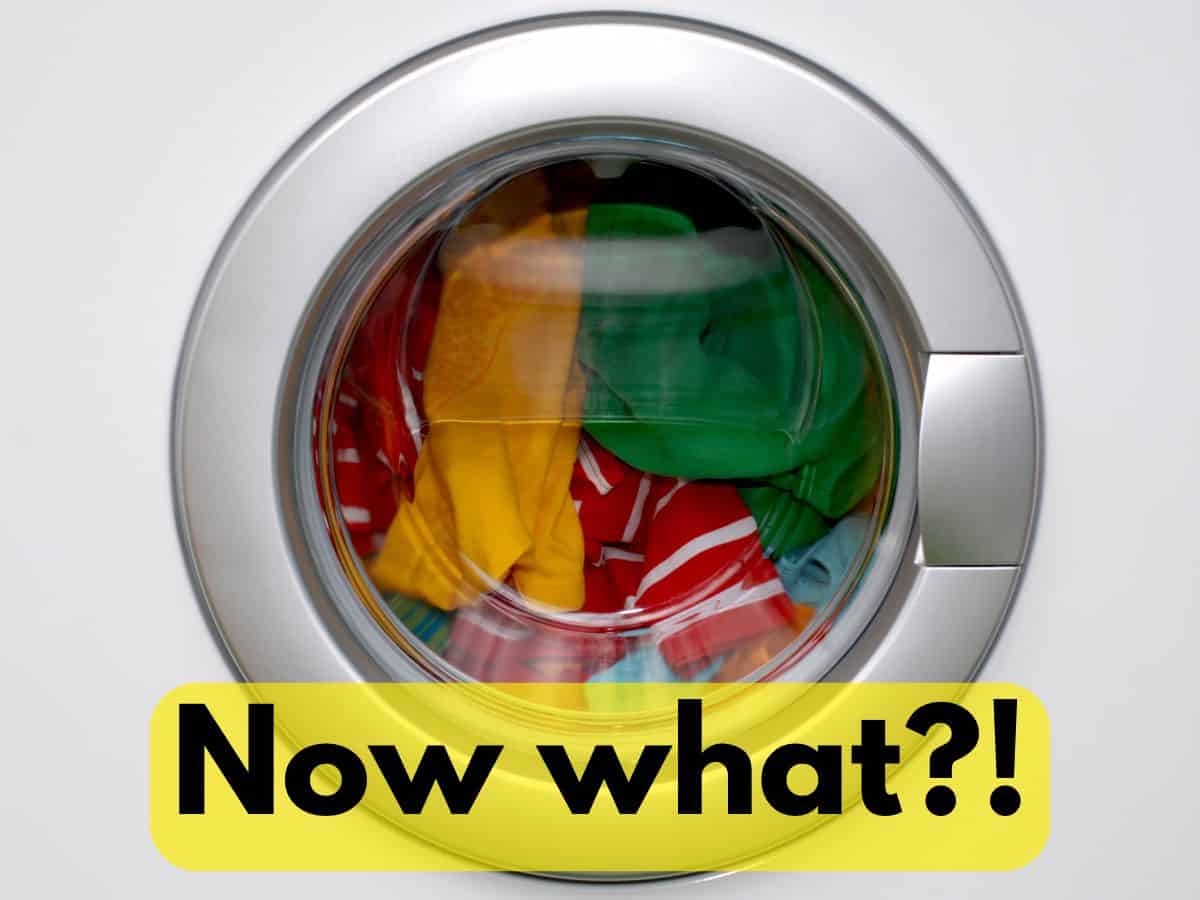 Washing Machine Lost Power MIDCYCLE? Do This Next Organizing.TV