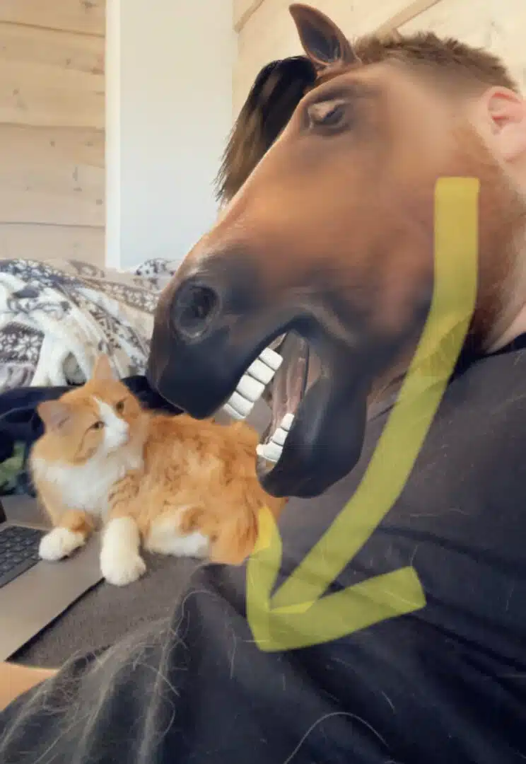 11 Best Washing Machines for Pet Hair (+How to use them) Organizing.TV