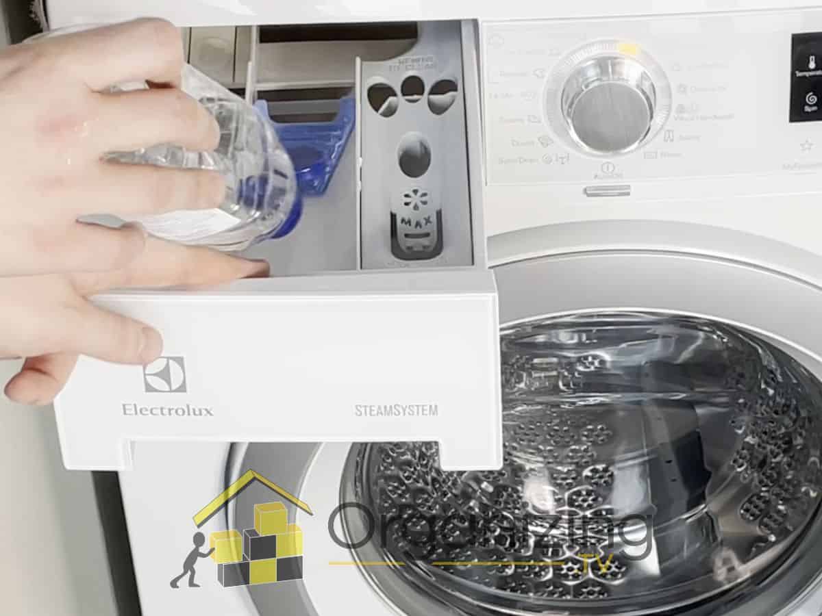 Person pouring white vinegar into the washing machine dispenser to neutralize odors